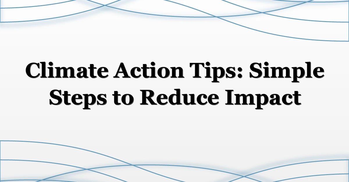 Climate Action Tips: Simple Steps to Reduce Impact